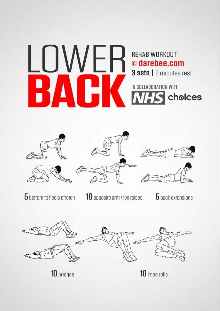 Lower Back workout poster